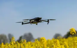 Drohnenaufnahmen über einem Rapsfeld