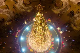 Weihnachtsbaum aus der Luft
