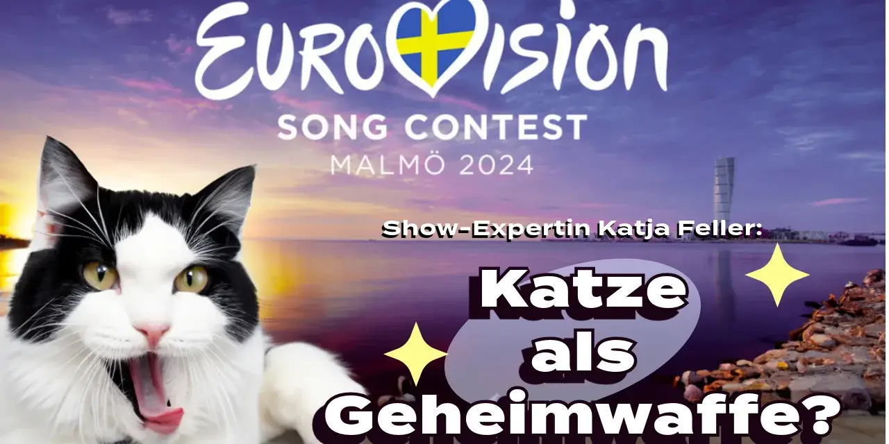 Katze Eurovision Thumbnail jpeg uai