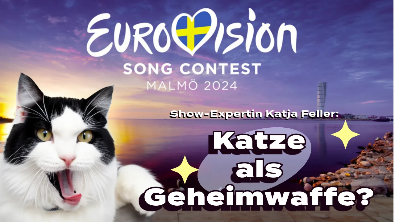 Katze Eurovision Thumbnail jpeg
